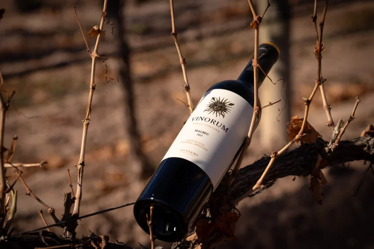 Vinorum SingleVineyard